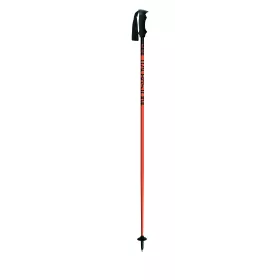 skis SALOMON X-DRIVE R 75 XX-chassis + Salomon L 10 lithium